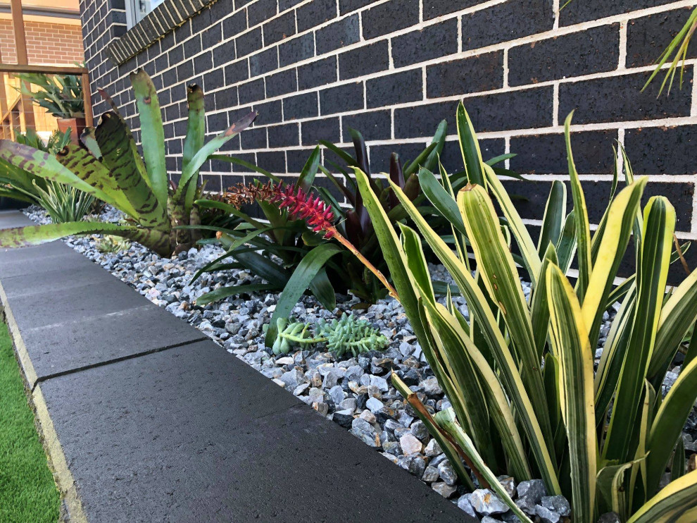 This is an example of a small modern backyard partial sun garden in Sydney with with raised garden bed and brick pavers.