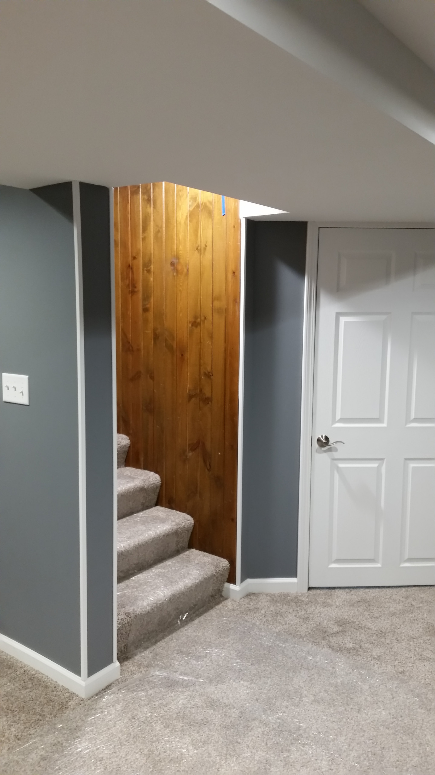 Basement rec room with custom bar and bedroom