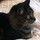 maryann_bakken