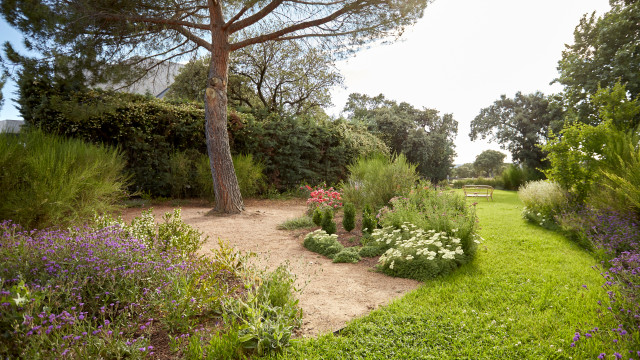 JARD&Iacute;N LIBRE EN LAS ROZAS garden