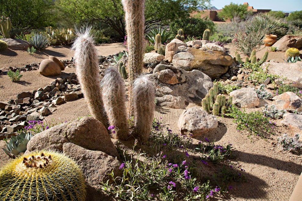 Inspiration for a garden in Phoenix.