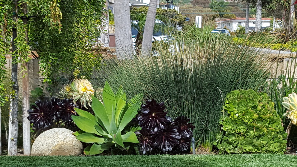 This is an example of a contemporary front yard garden in Orange County.