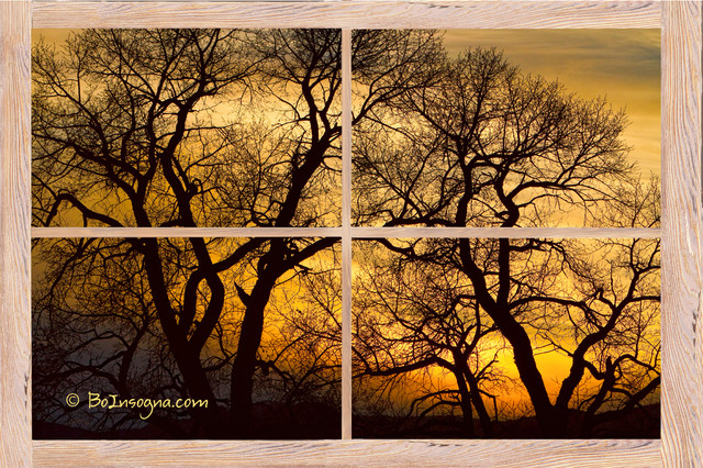 Dancing Trees Sunset Picture Window Frame Photo Art View  Stretched Canvasgraphy