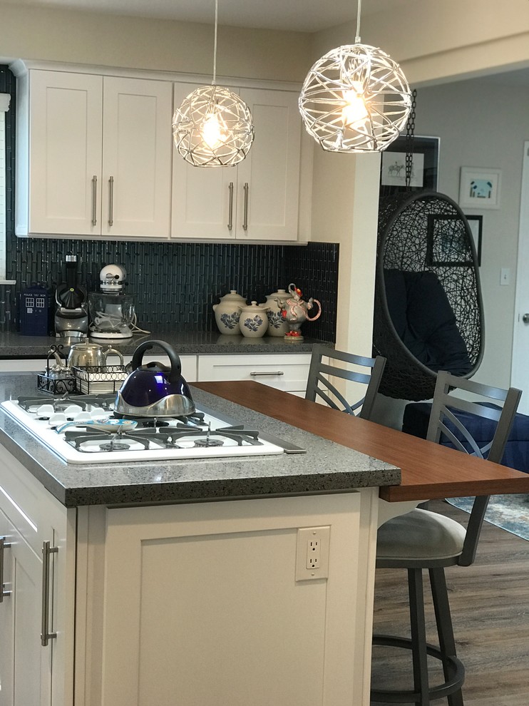 Home design - transitional home design idea in Orange County