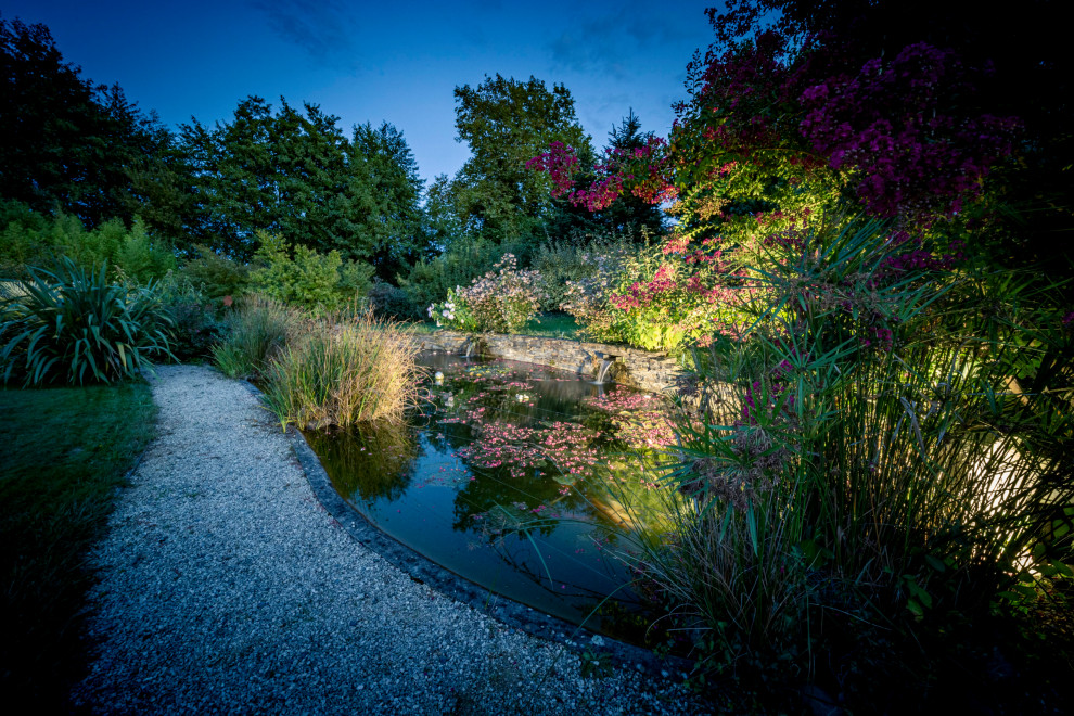 Réalisation d’un bassin aquatique et d’une plantation audacieuse - Have ...