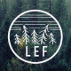 Live Edge Forest