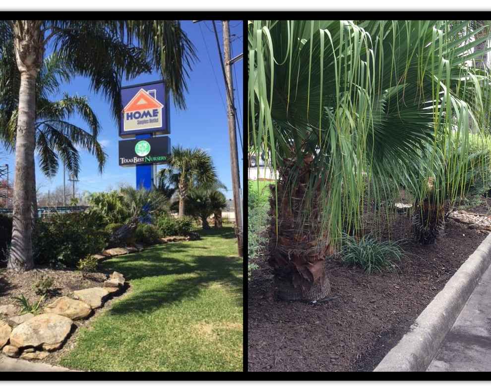 Texas Best Nursery Revitalization