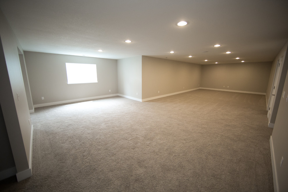 Inspiration for a transitional basement remodel in Cedar Rapids