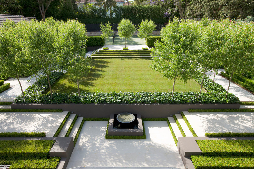 Inspiration for a transitional garden in Sydney.