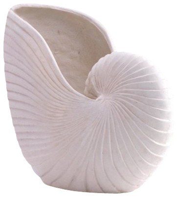 Nautilus Shell Vase, Large