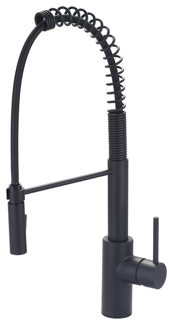 Motegi Single Handle Pre Rinse Kitchen Faucet Transitional