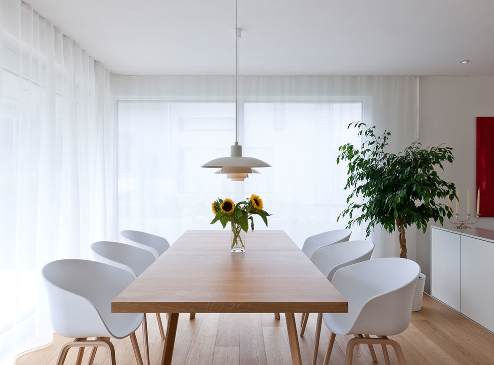 Design ideas for a contemporary dining room in Stuttgart with white walls and light hardwood floors.