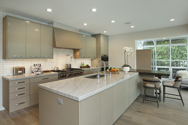 Lakeside Modern modern-kitchen