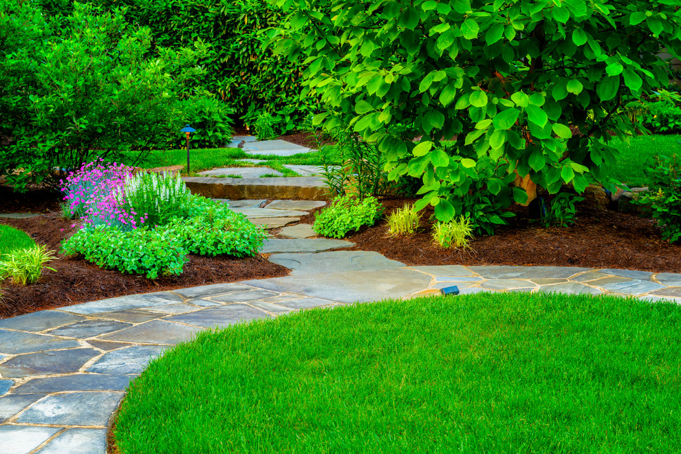 Expansive modern backyard garden in Wilmington with a garden path.