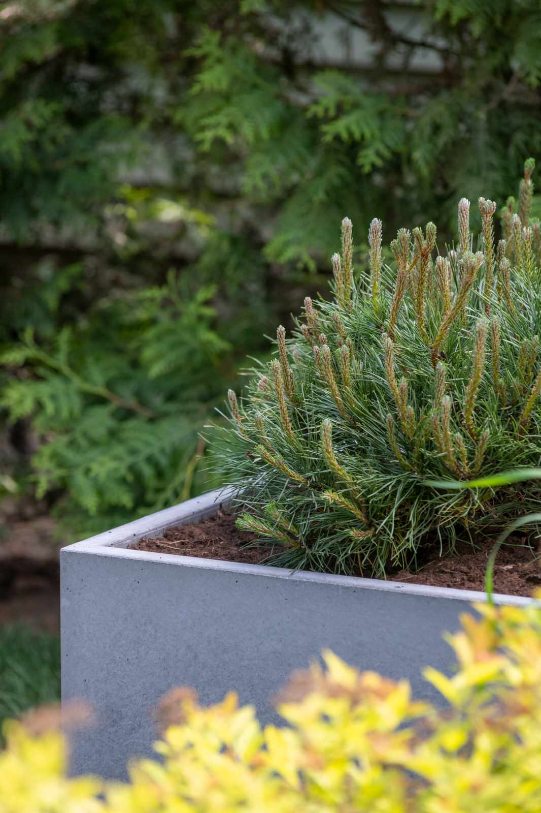 Беседка и терраса для Дмитрия Крылова. Первый Канал "На дачу! С Наташей Барбье"