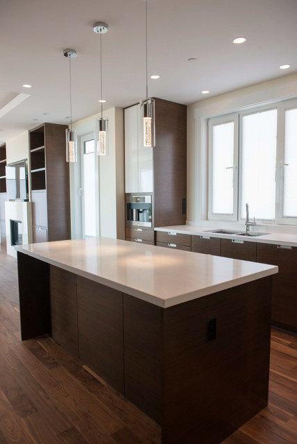 F.S..H.C. Project modern-kitchen