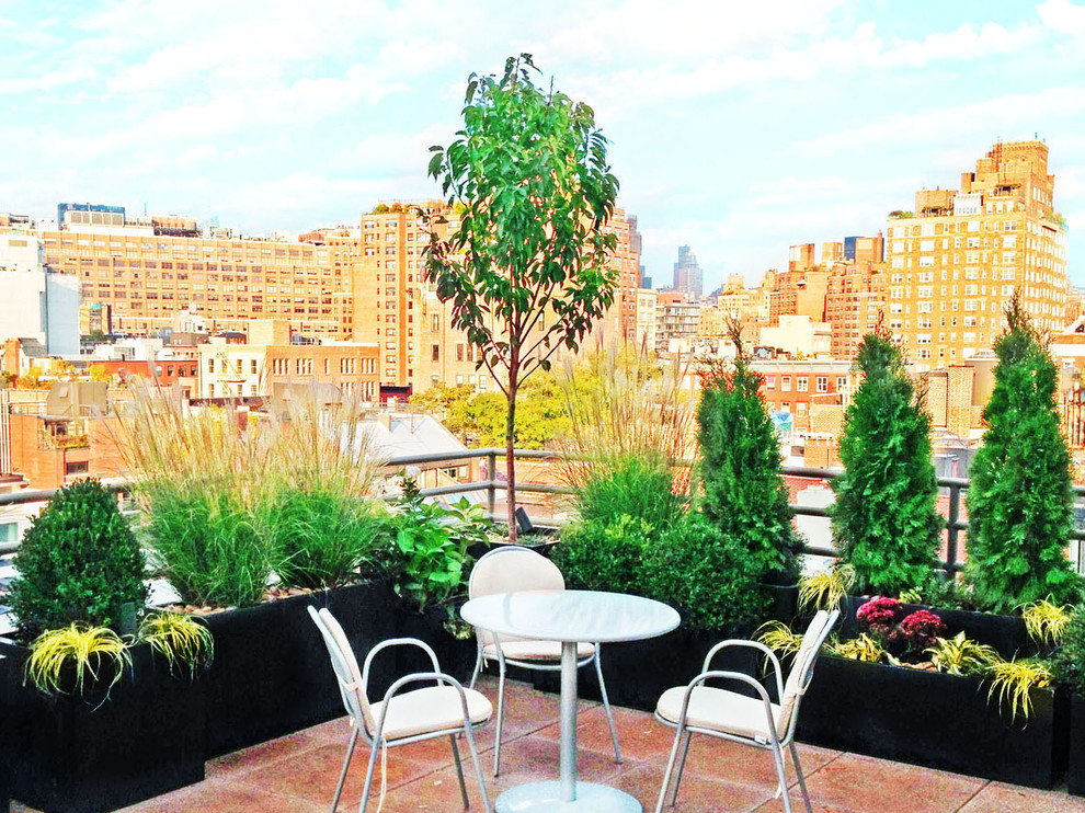 Design ideas for a contemporary rooftop partial sun garden for summer in New York with a container garden.