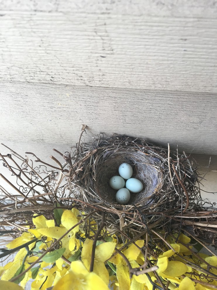 Birds nest on door wreath?
