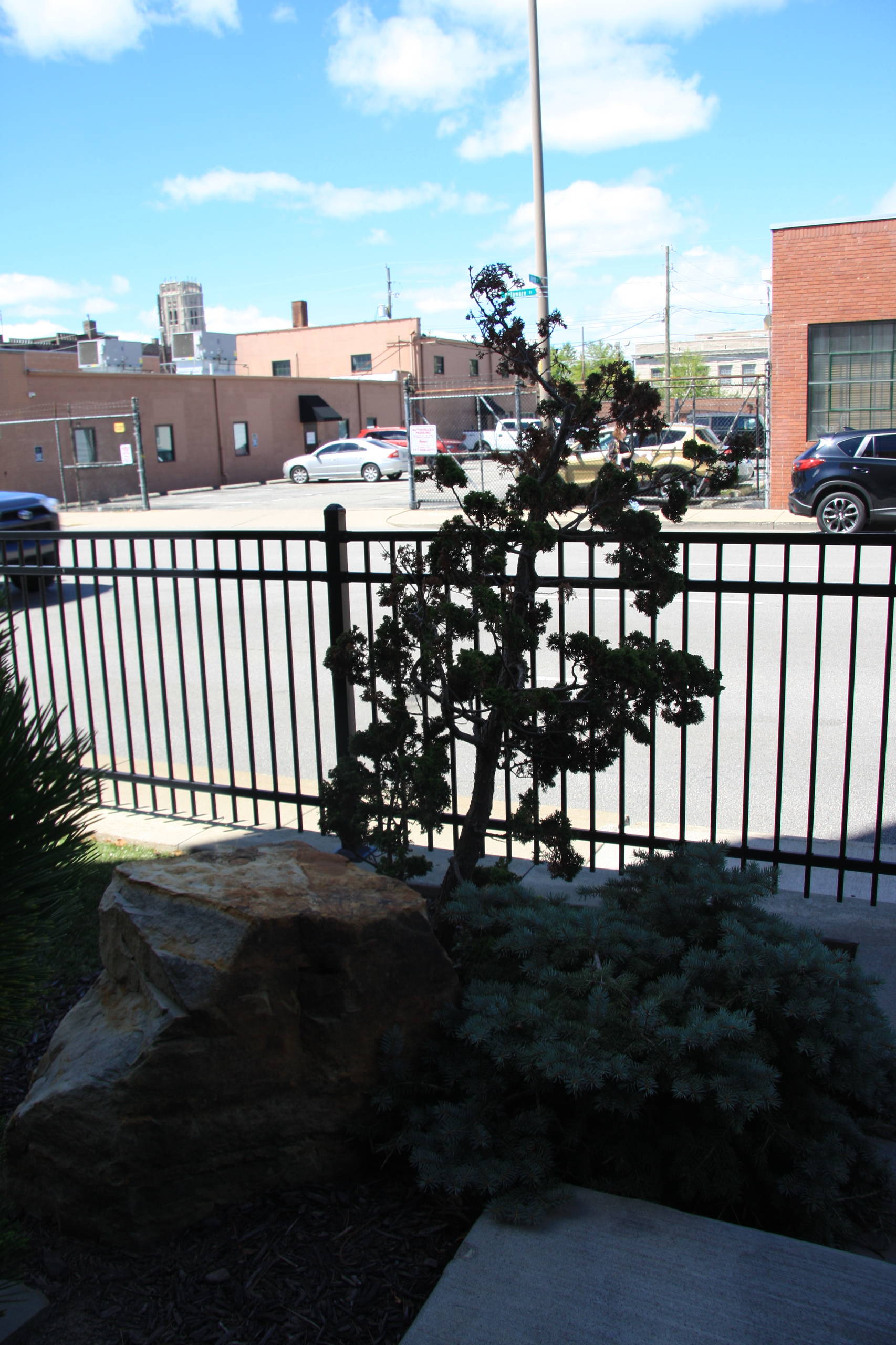 Wittern Roof top Garden