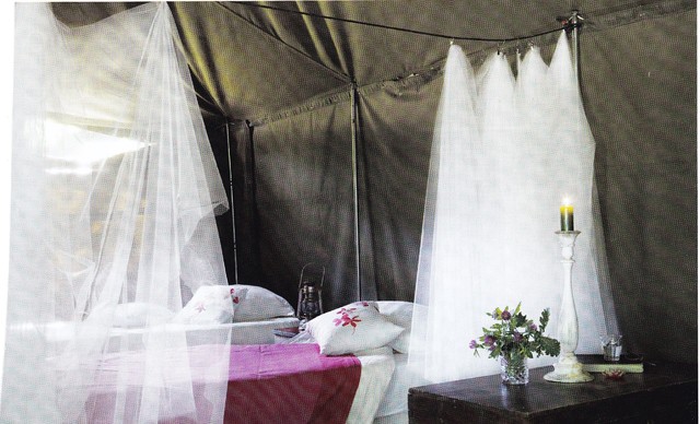 Camping Chic 