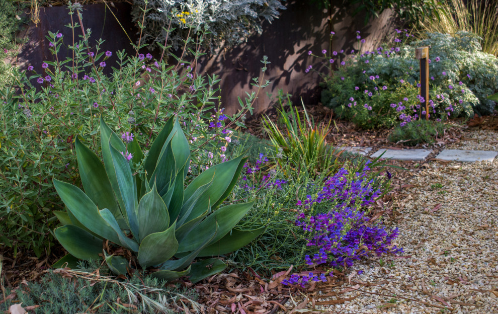 Cette image montre un grand xéropaysage arrière minimaliste au printemps avec un massif de fleurs, une exposition ensoleillée, des pavés en béton et une clôture en métal.