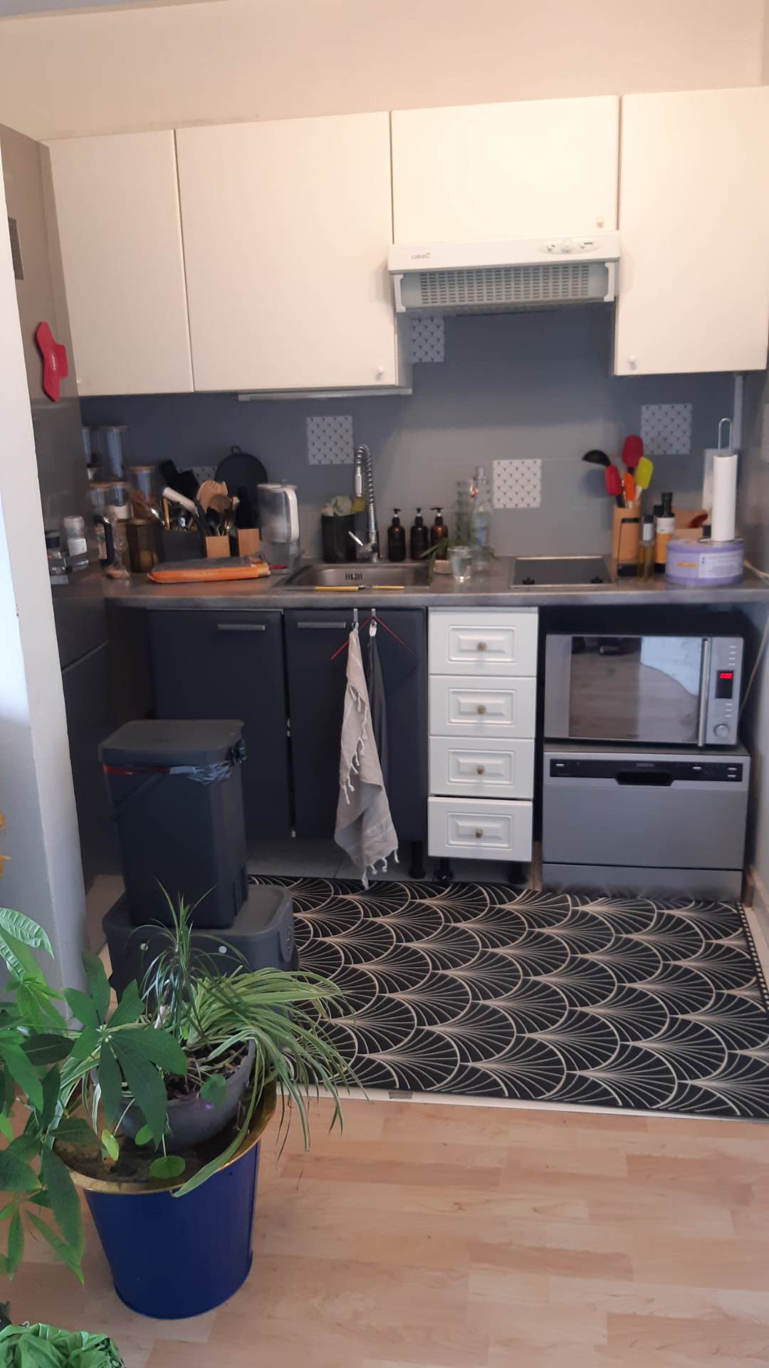 Rénovation totale d'un studio de 29m²