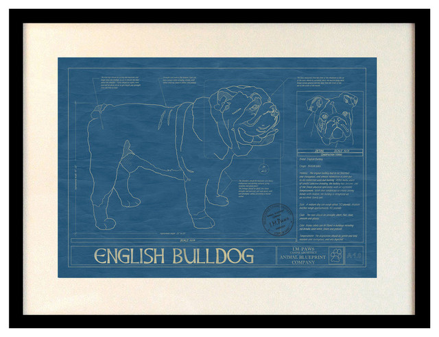 Animal Blueprint Art, English Bulldog