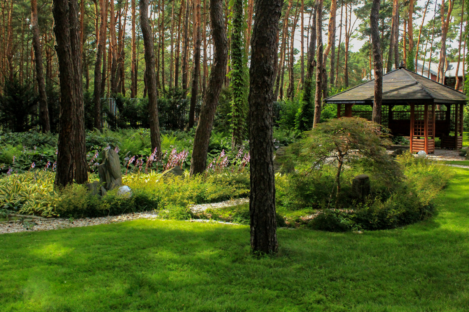 Тенистый сад в лестном массиве