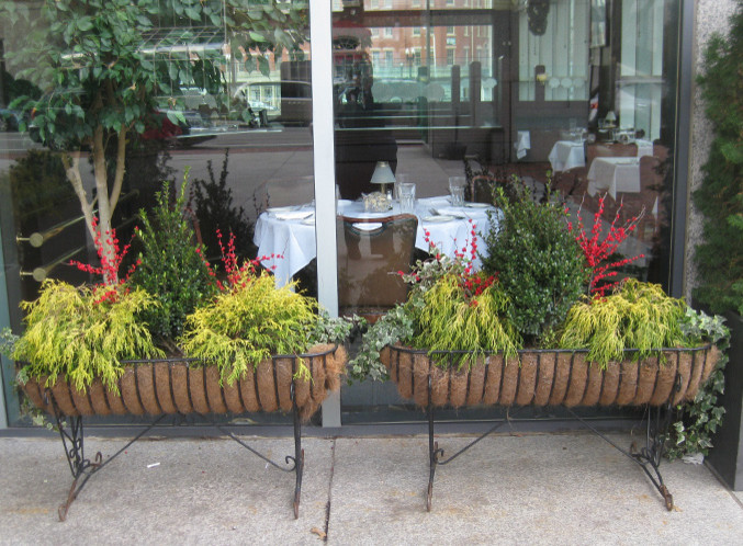 Potted Gardens, Windows boxes