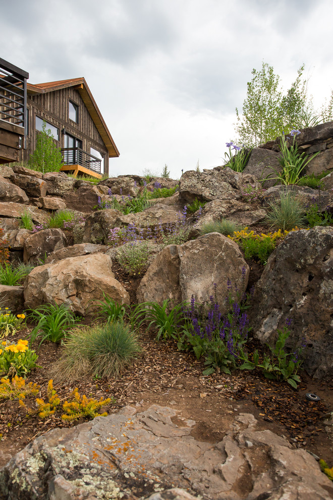 Design ideas for an expansive contemporary backyard partial sun garden for spring in Denver with a vertical garden.