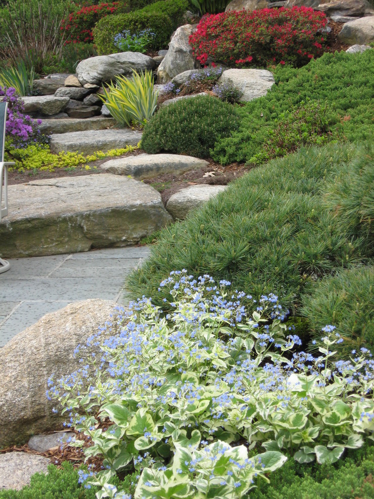 Rock garden ground cover plants Contemporary Miami by Matthew