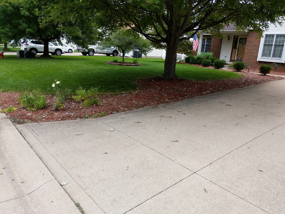 mulch bed along driveway