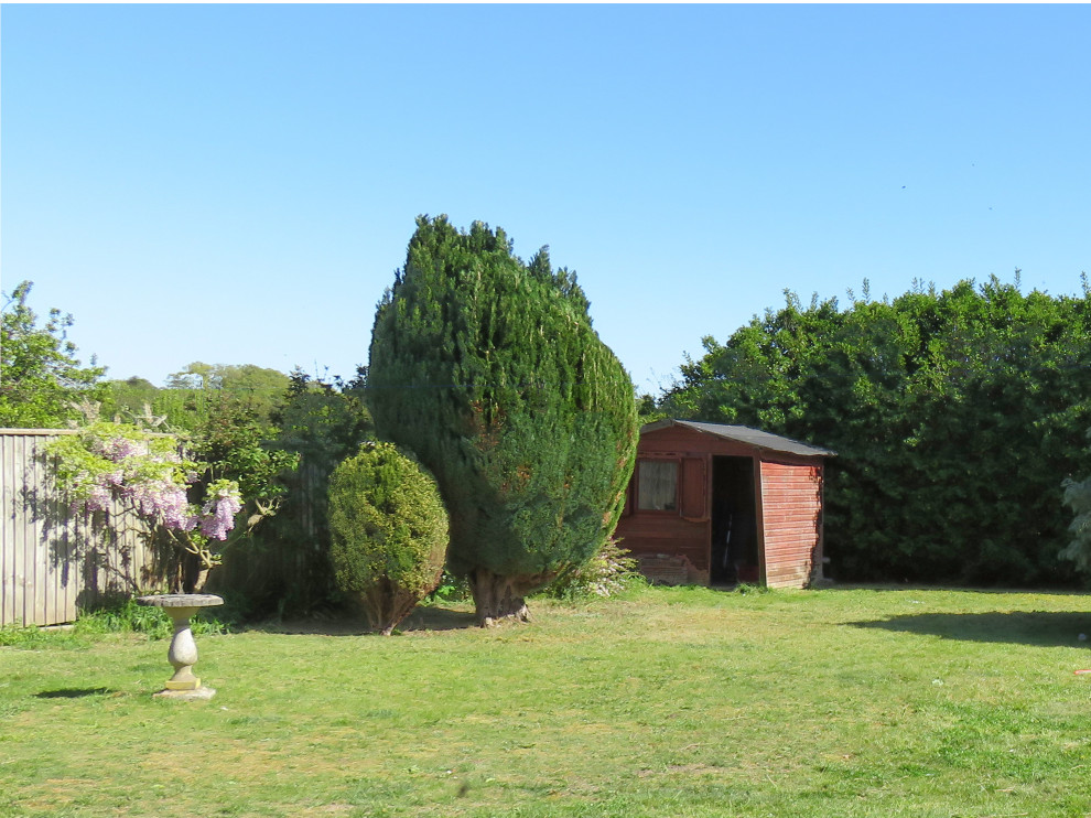 Back Garden, Newmarket