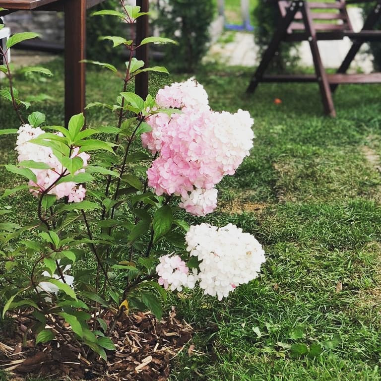 зона отдыха у таунхауса