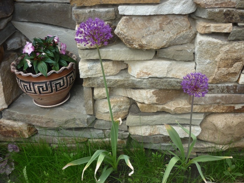 Сад, в котором живет вдохновение