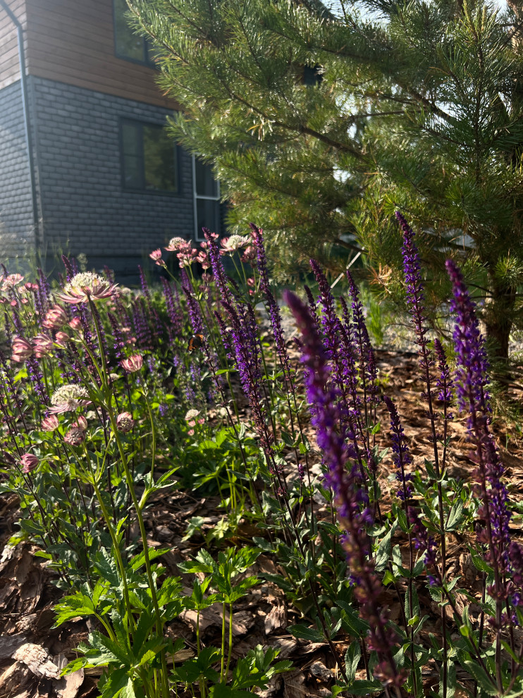 Сад у Озернинского водохранилища 12 сот.