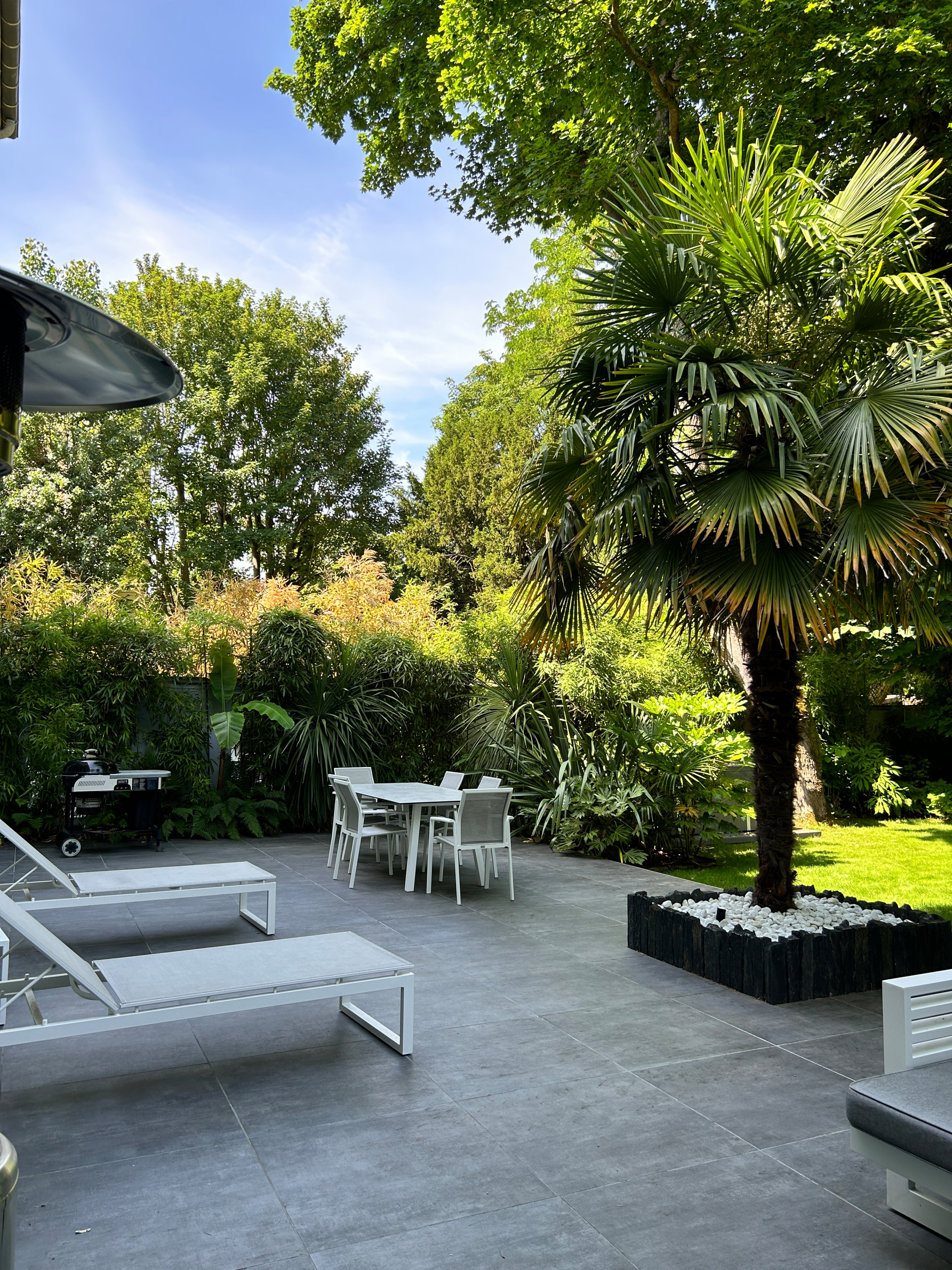 Réalisation d'un jardin tropical
