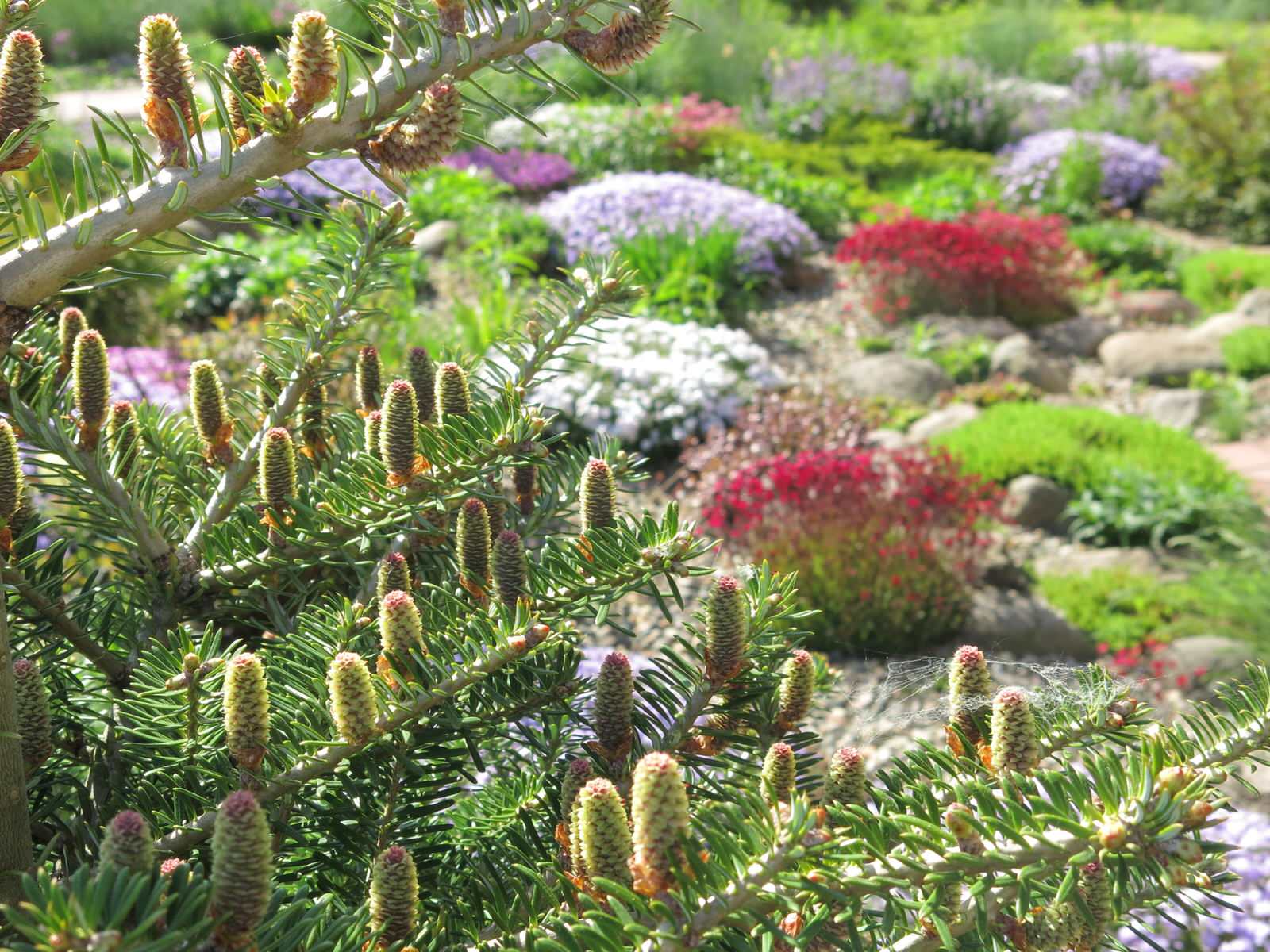 ТЕПЛЫШКО МОЕ. ВЕСНА.