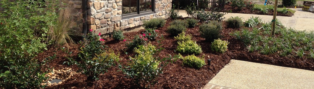 Reviews Of Greenscape Design Baton Rouge La Us 70808