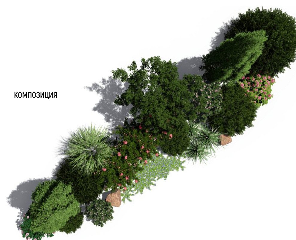 Розовое утро