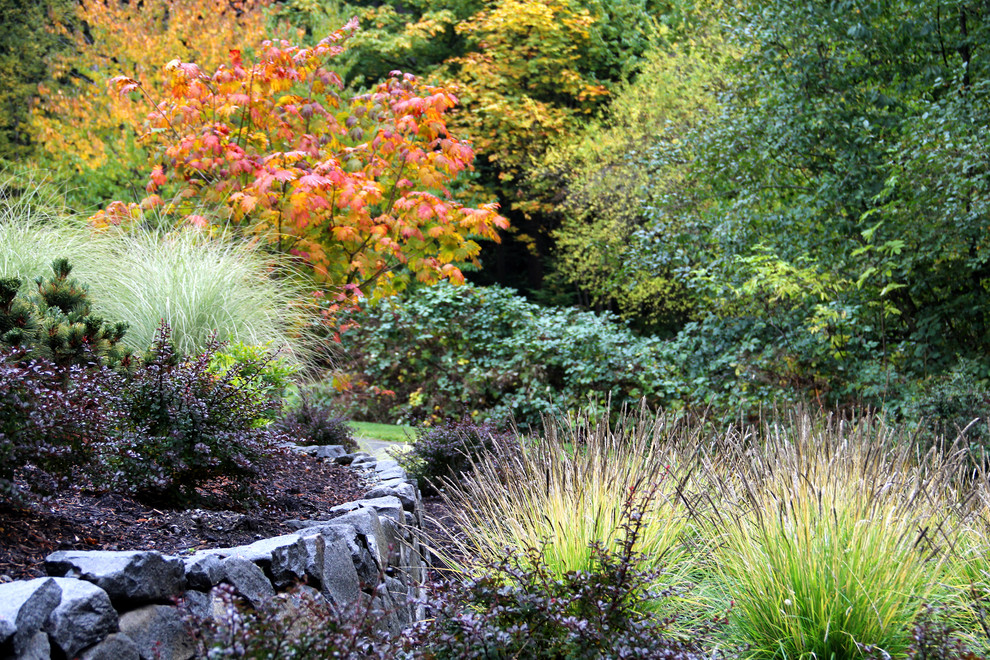 Suhr-Brown - Contemporary - Landscape - Seattle - by Bliss Garden Design, LLC on Bliss Garden Design
 id=53238