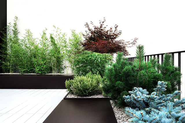 Loft A contemporary-deck