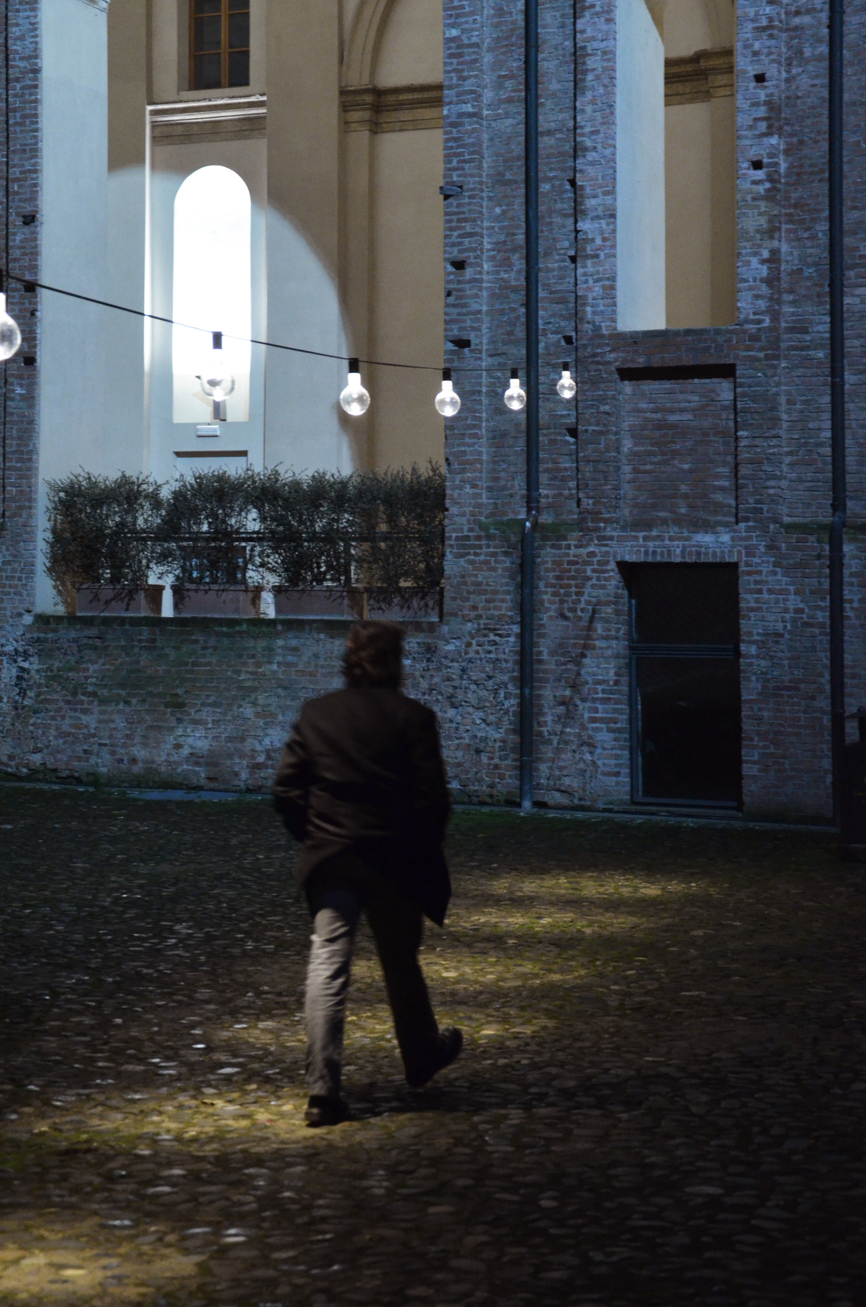 PALAZZO FARNESE | Piacenza | 2014