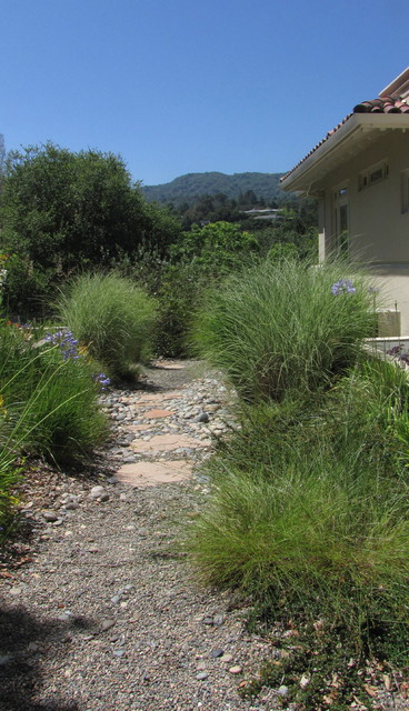Los Altos Hills Mediterranean Garden contemporary-garden