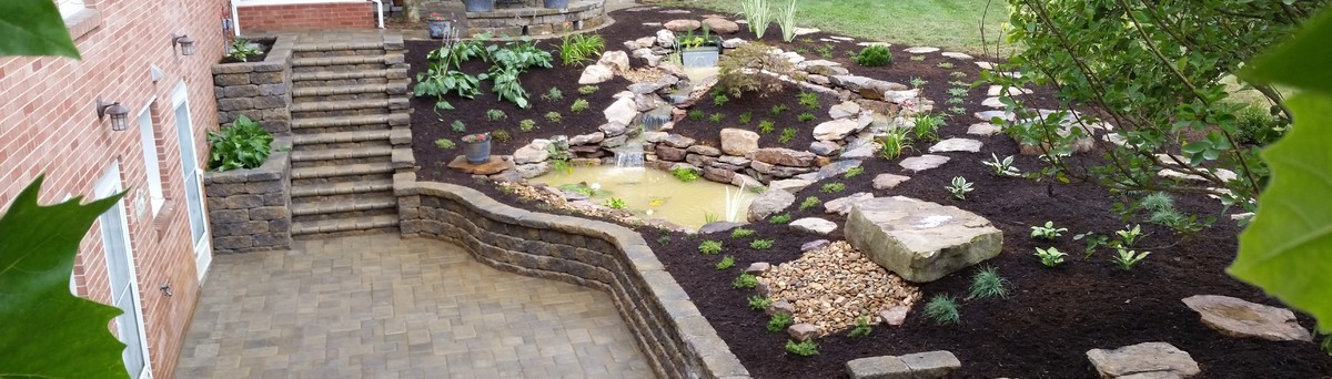 Back To Nature Landscaping Wildlife Restoration Blacksburg Va Back To Nature Landscaping Wildlife Restoration