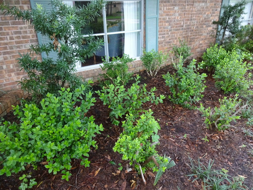 How to Prune Your Flowering Shrubs for the Best Blooms