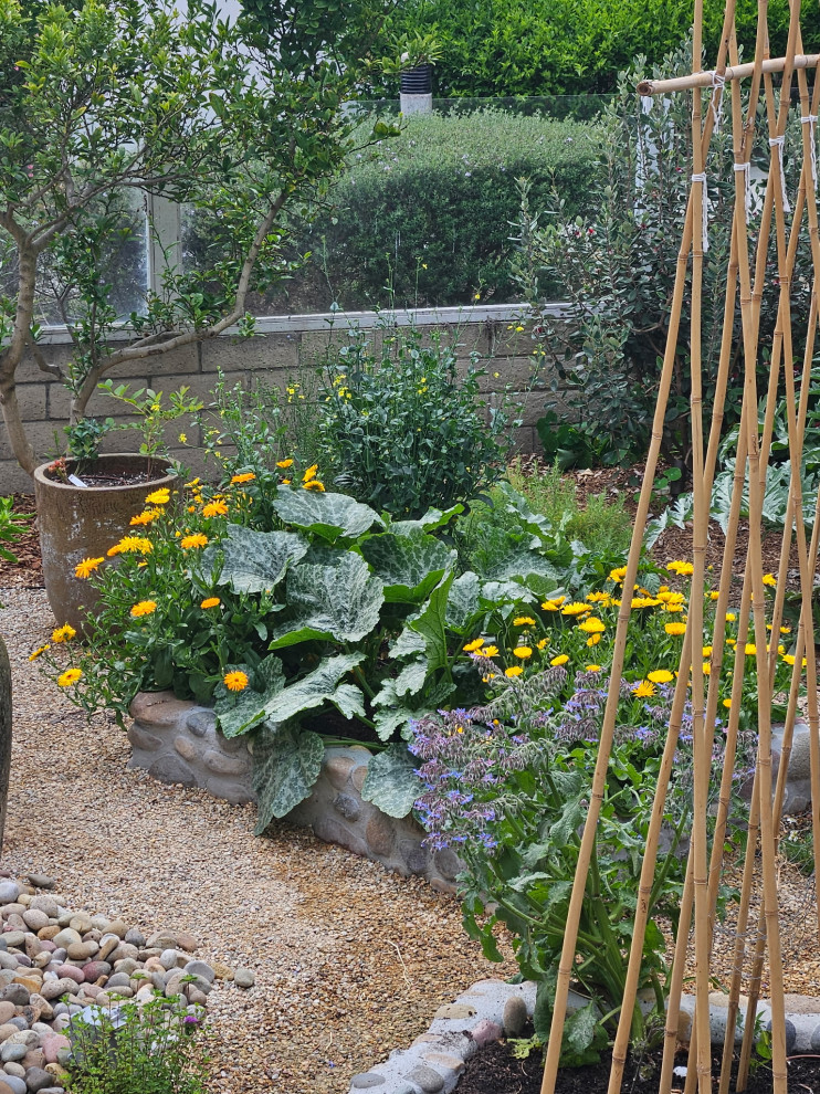 Lush edible garden