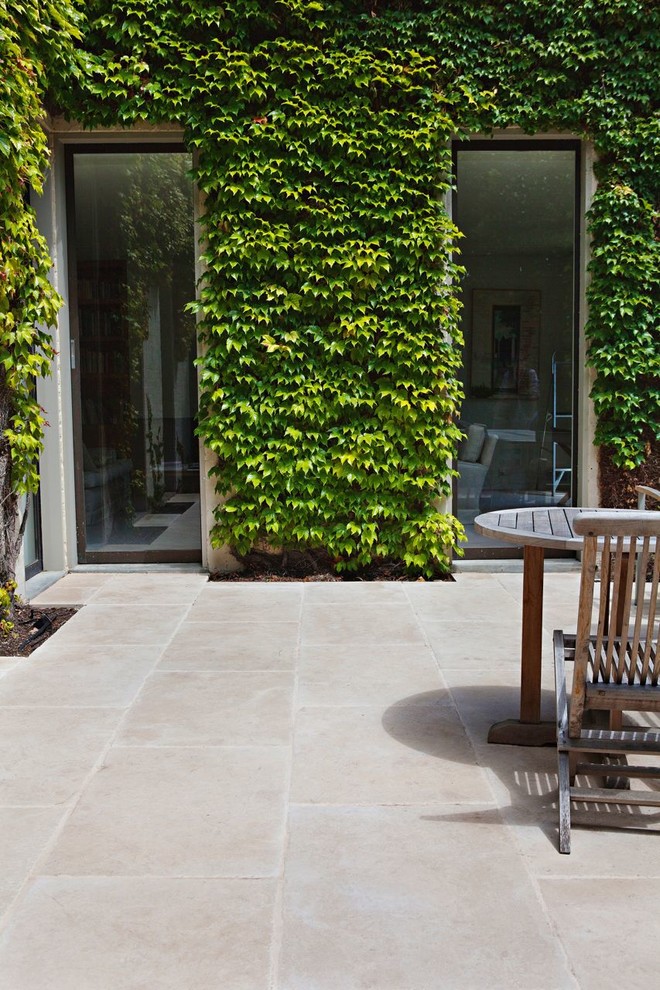 This is an example of a large contemporary backyard patio in Sydney with natural stone pavers and no cover.