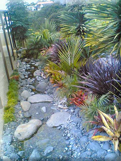 Inspiration for a mid-sized tropical front yard full sun garden in Auckland with gravel and a water feature.