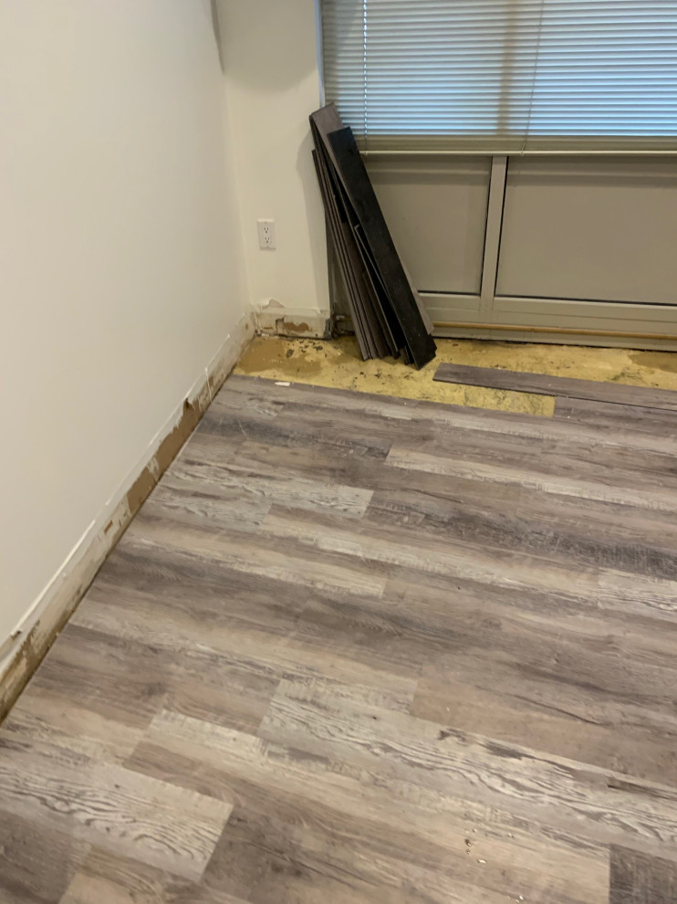 Water Mitigation